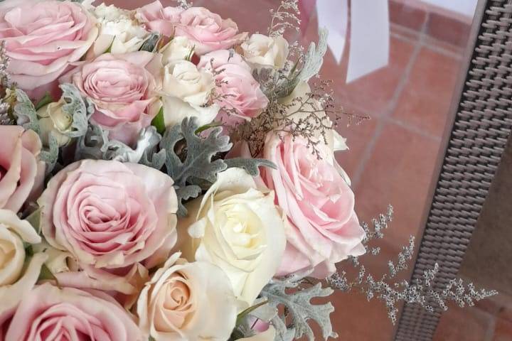 Rosas 2