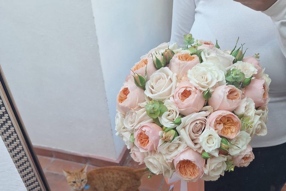 Rosas inglesas durazno 2