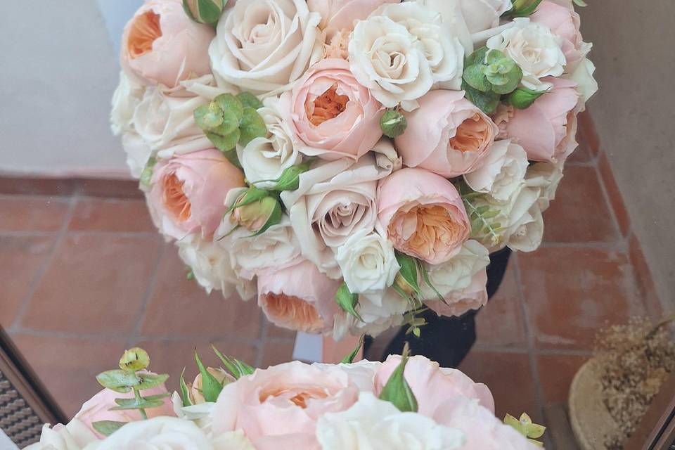 Rosas inglesas durazno