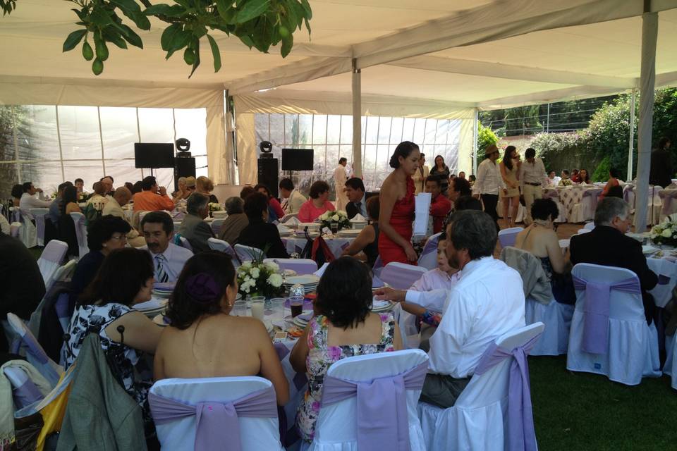 En los mejores jardines