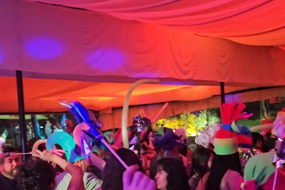 Grupo Musical Camaleón