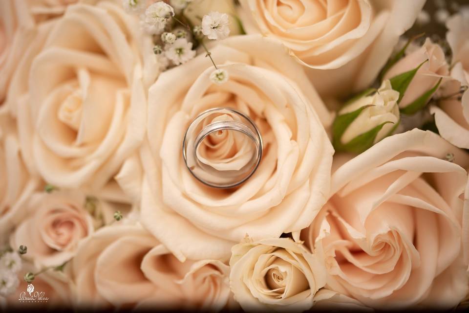 BODA E & J  L-1