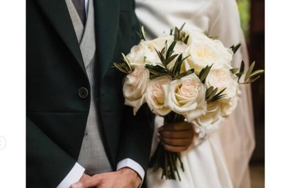 Novios