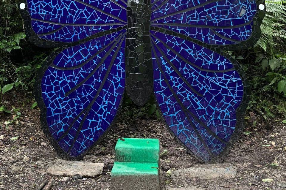 Sendero de mariposas