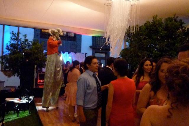 Perfecto para su evento