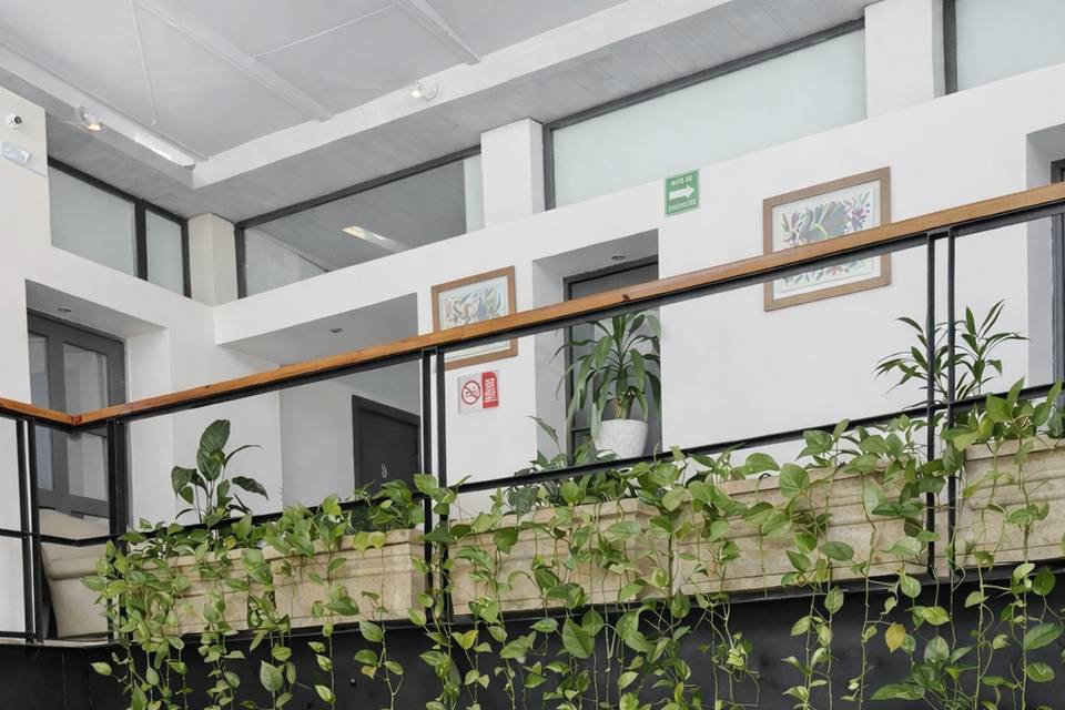 Barra de té y café