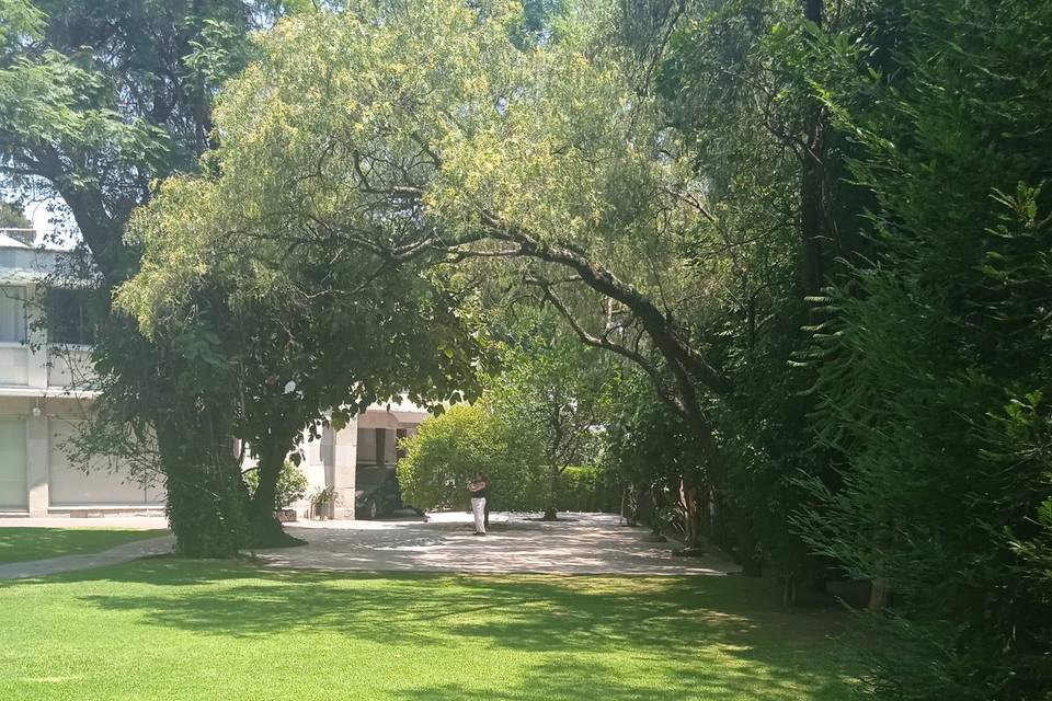 Jardín con árboles