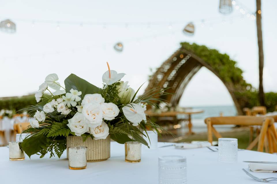 Set up reception