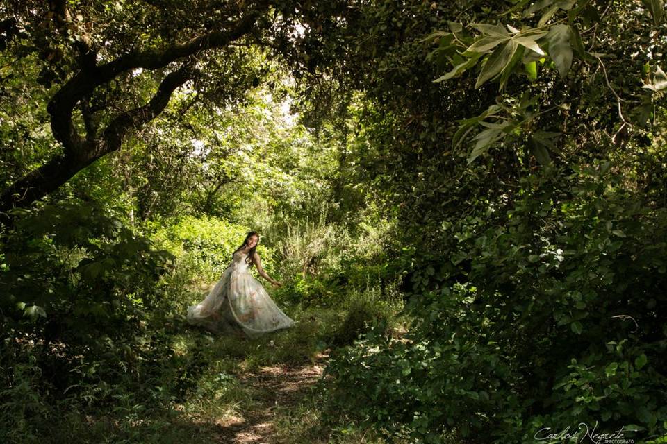 Trash the Dress