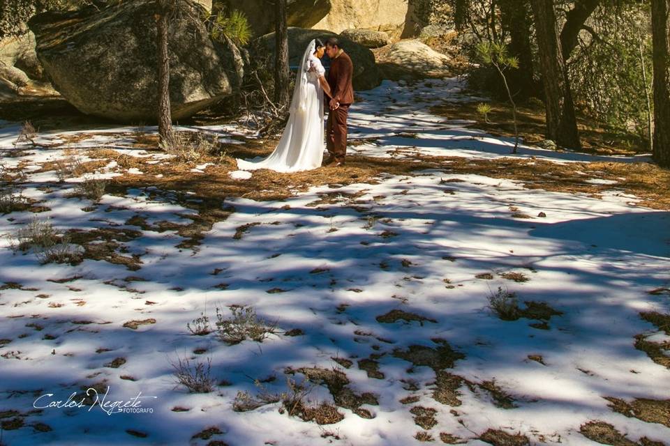 Trash the Dress