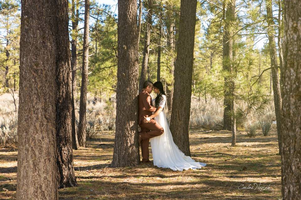 Trash the Dress