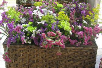 Especial para eventos