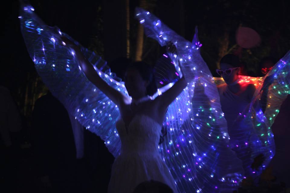 LED Wings Moment