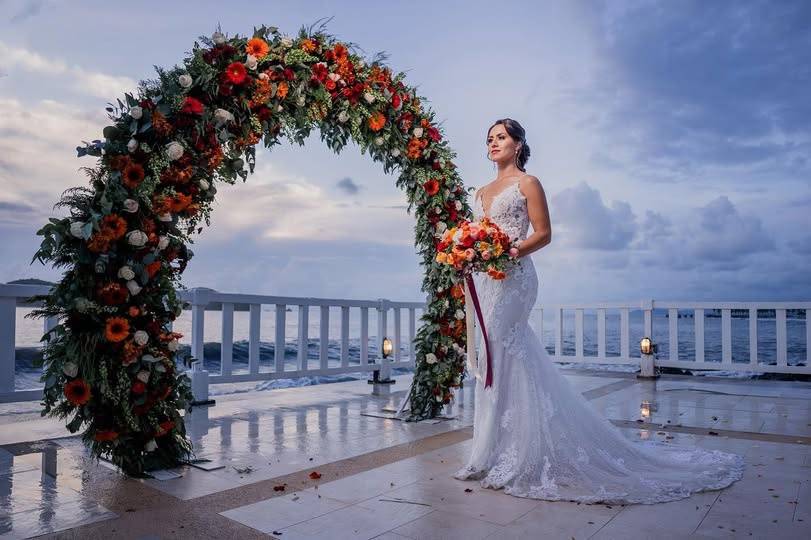 Novia: Paloma