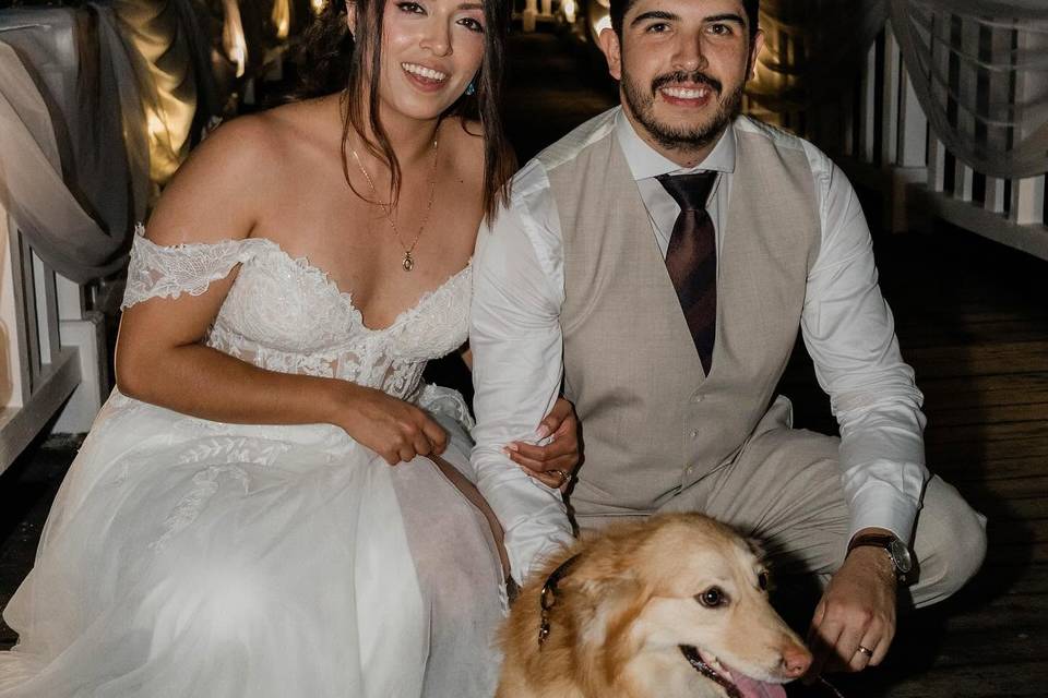 Dog Friendly