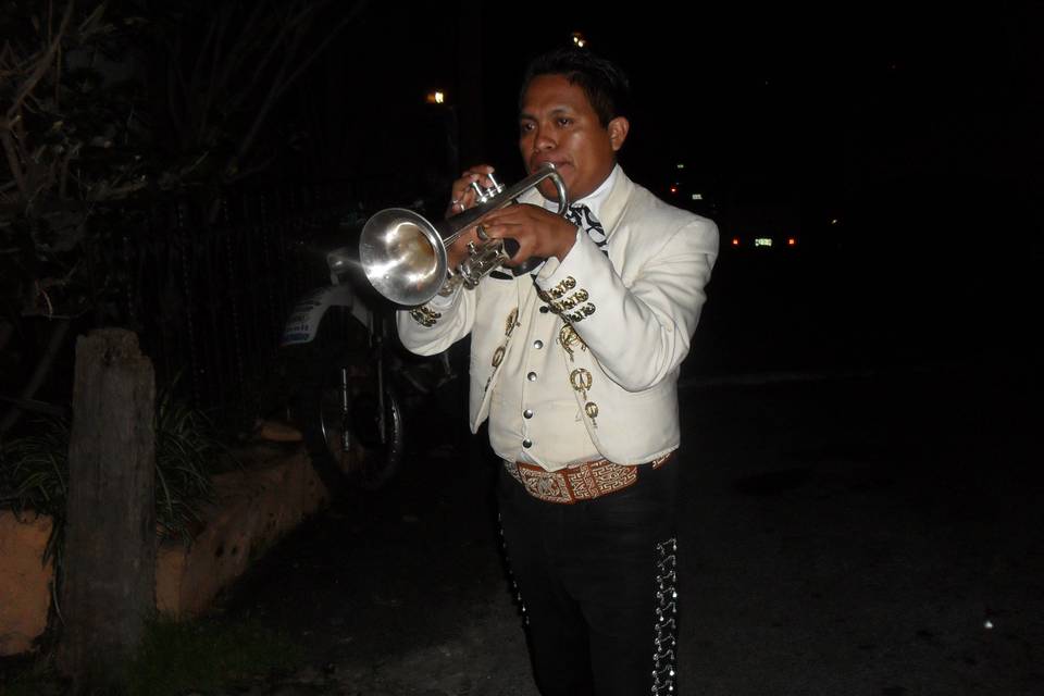 Mariachi México de Noche