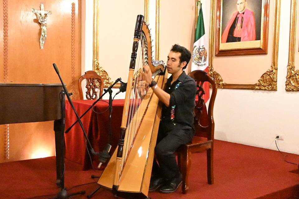 Presentación Artistica