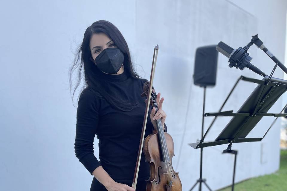 Violín