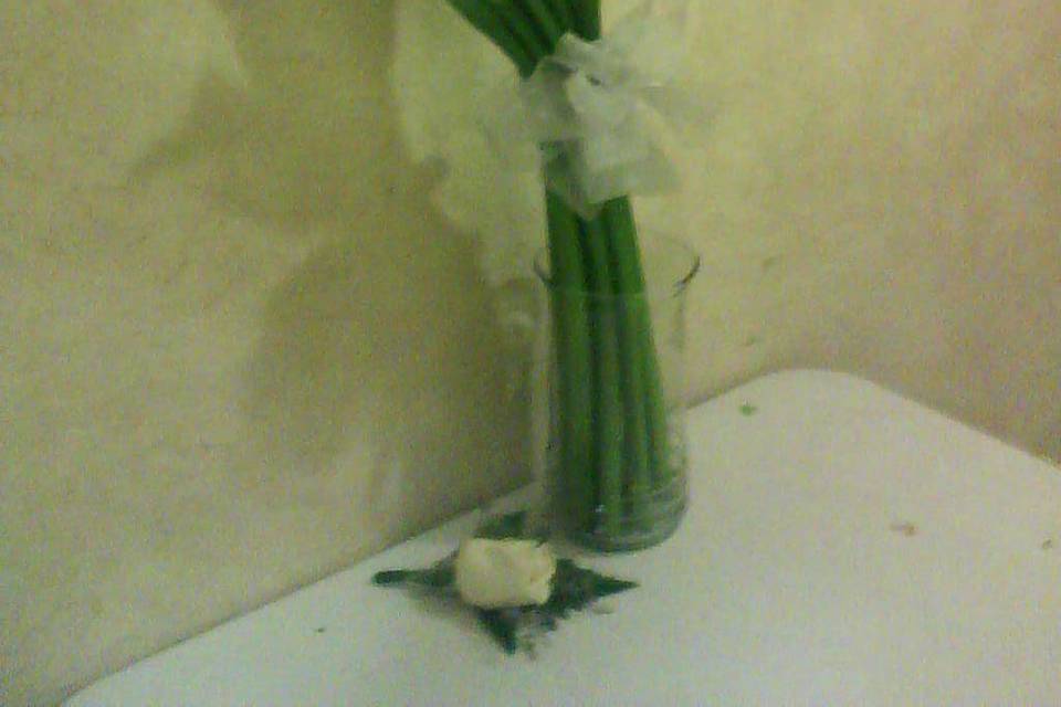 Ramo y bouquet