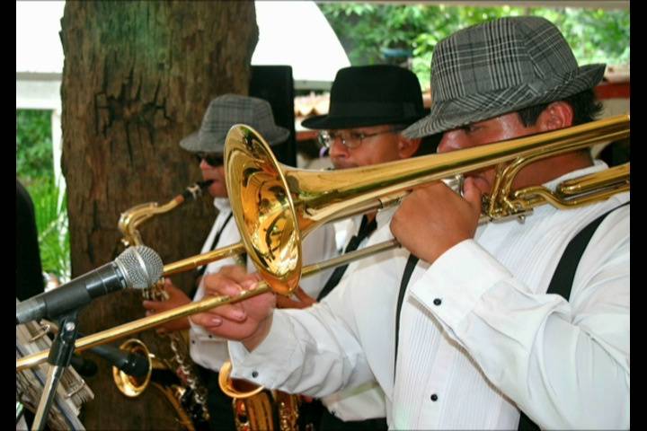 Músicos profesionales