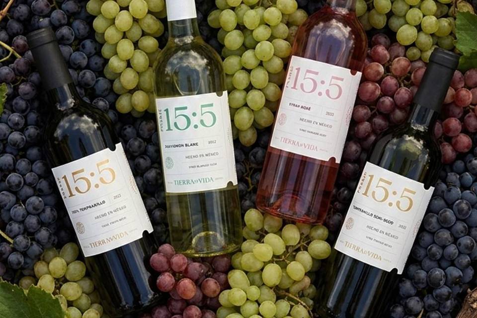 Vinicola Tierra de Vida