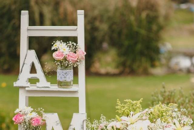 Donde empieza la magia