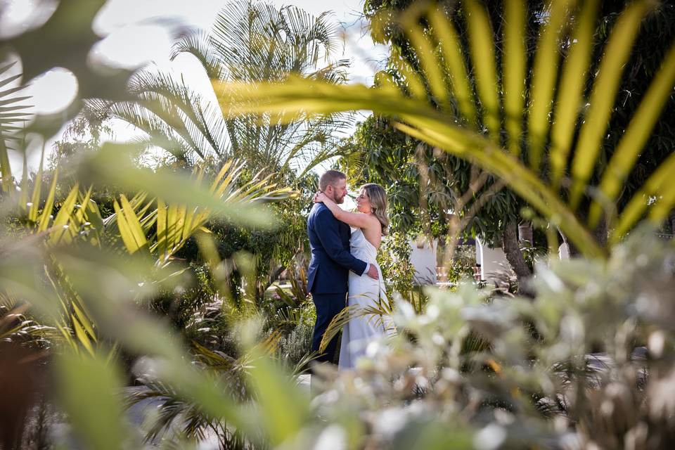 Amor Paparazzi