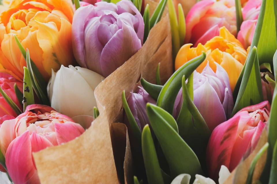 Variedad de colores