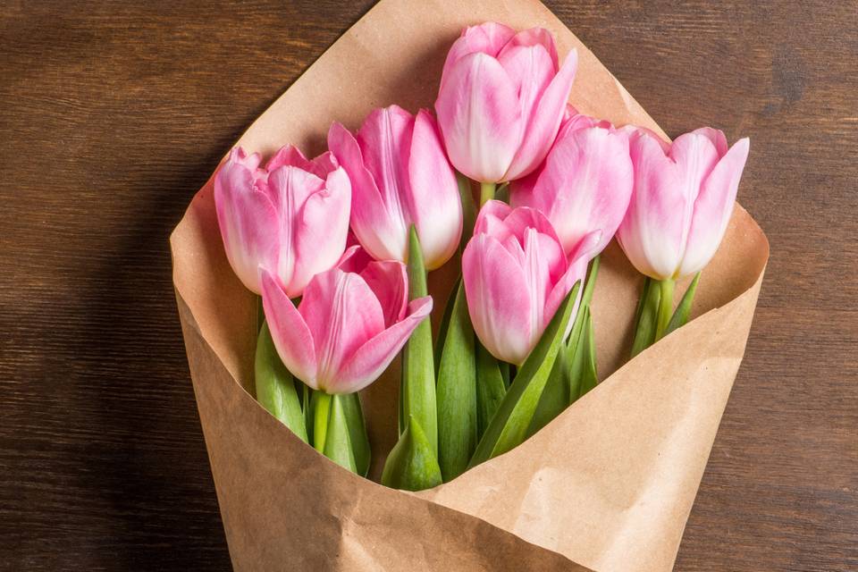 Ramo Soft Bloom