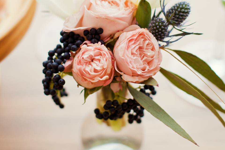 Ramo Wild Romance