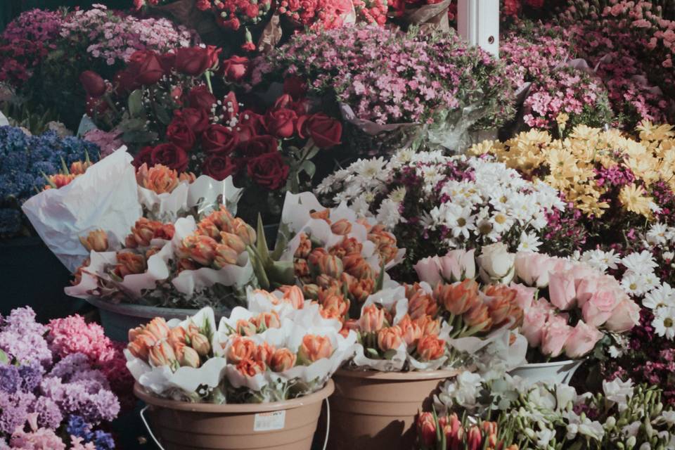 Variedad de flores