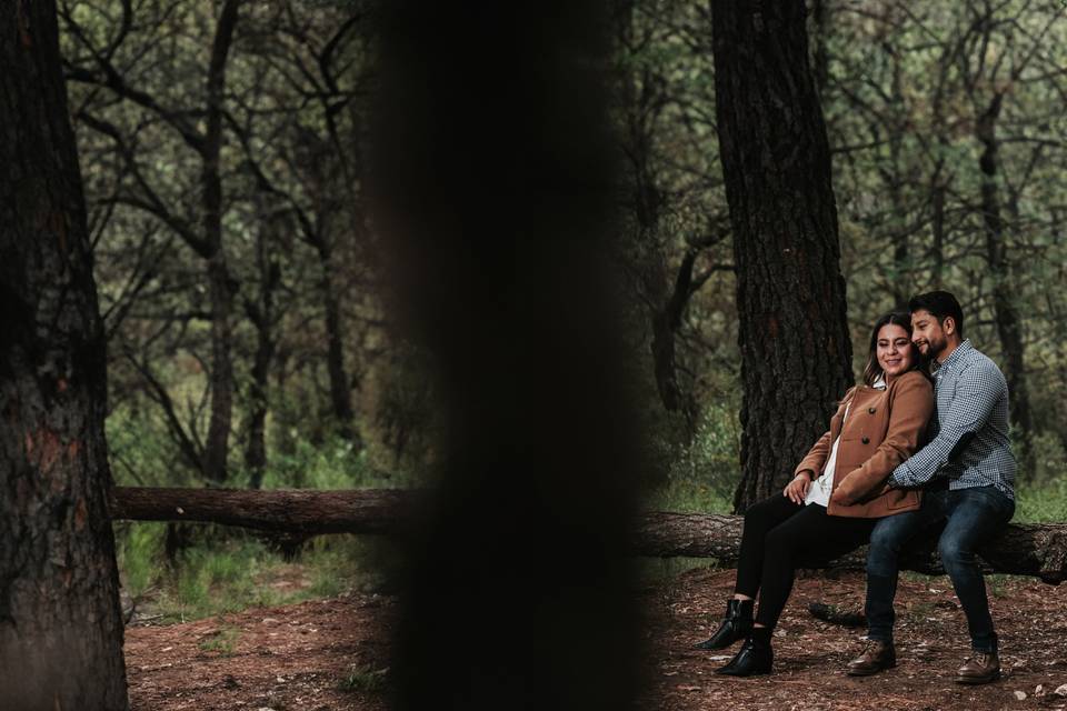 Pareja sentada en medio del bosque