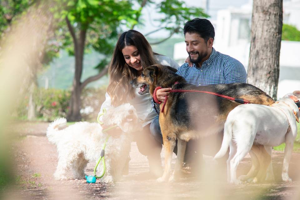 Captura las fotos de su boda