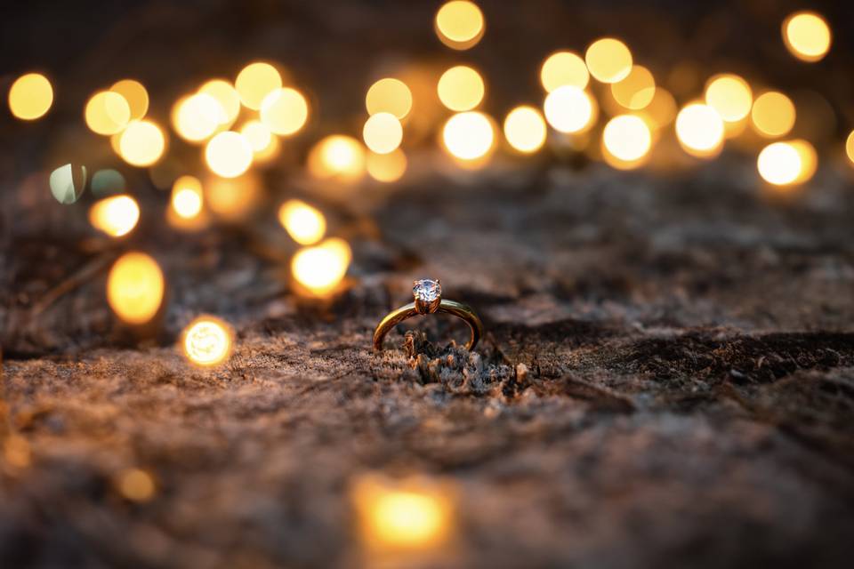 Captura las fotos de su boda