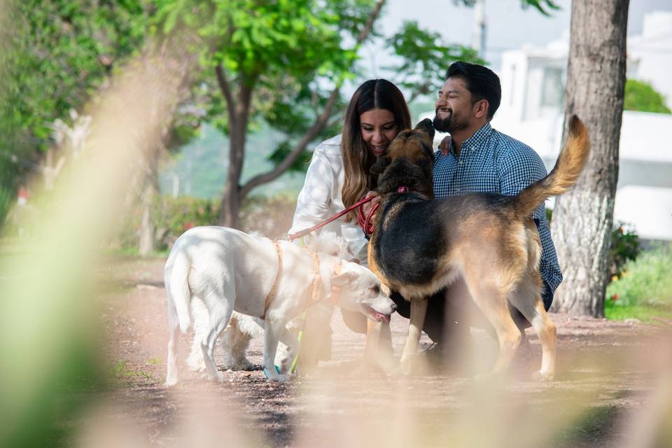 Captura las fotos de su boda