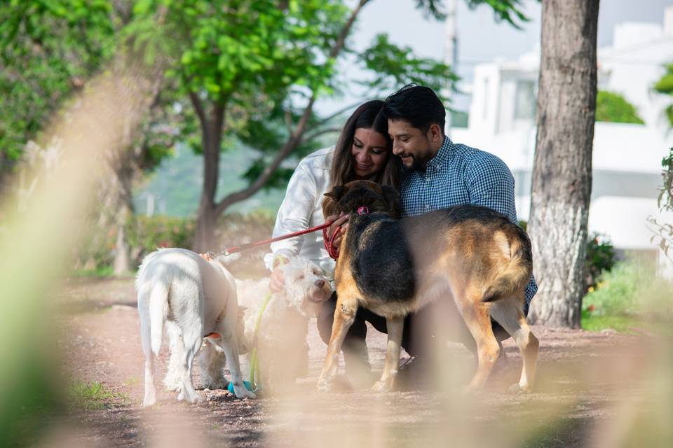 Captura las fotos de su boda