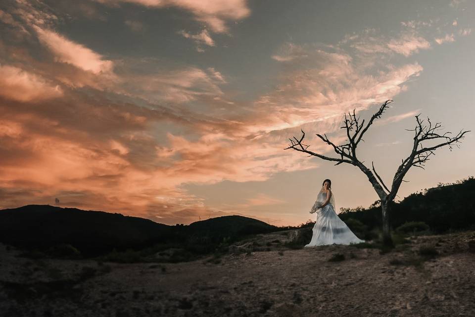 Captura las fotos de su boda