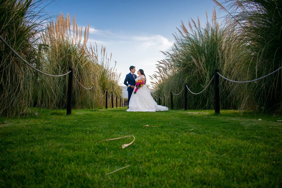 Captura las fotos de su boda