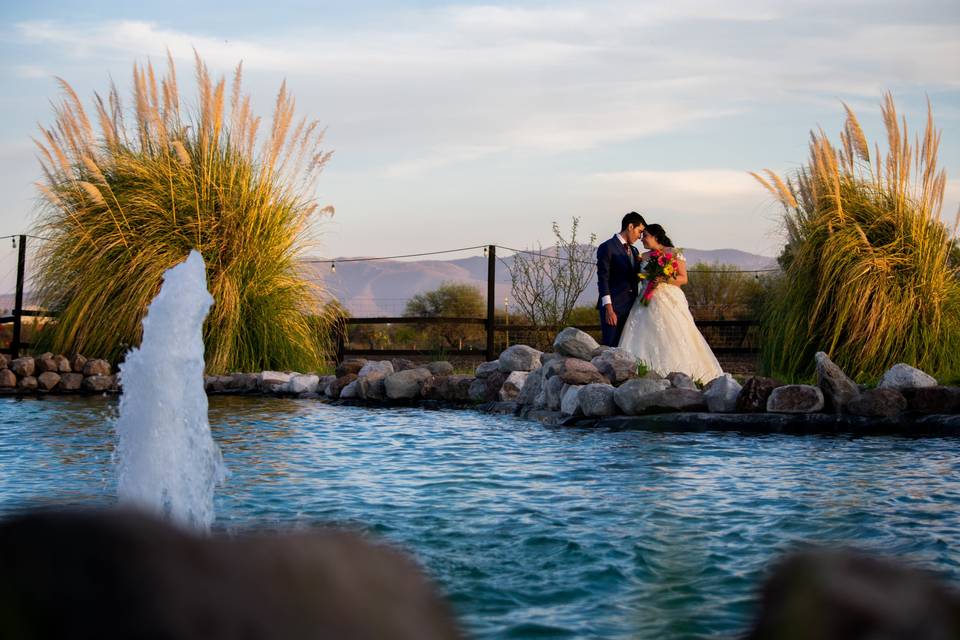 Captura las fotos de su boda