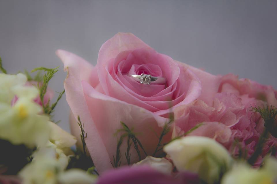 Rosas y anillo