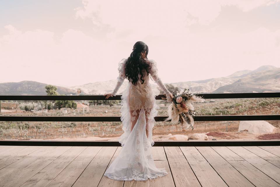 Novia Valle de Guadalupe