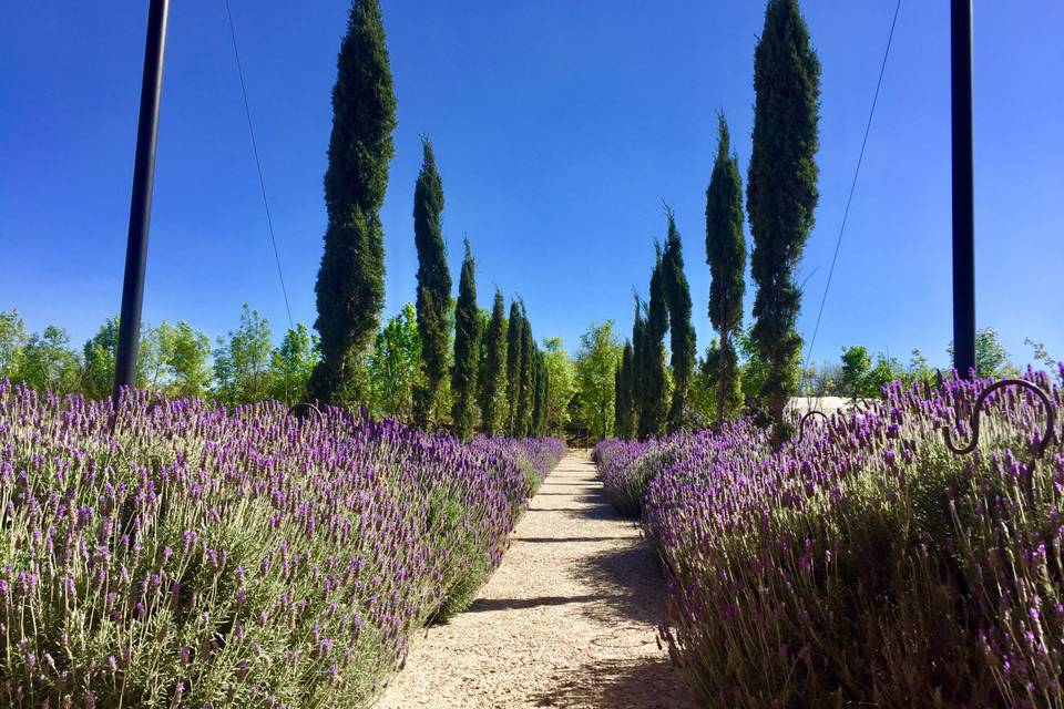 Hacienda La Solariega