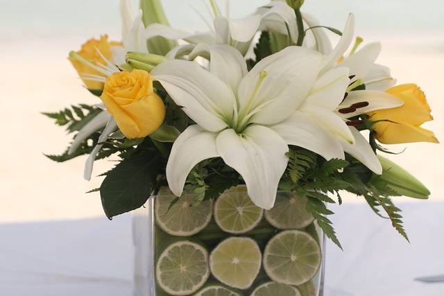 Creatividad en lo que hacemos