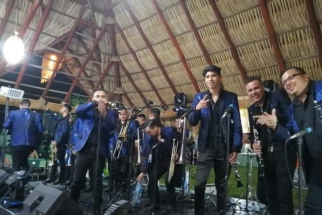 Banda saucillos