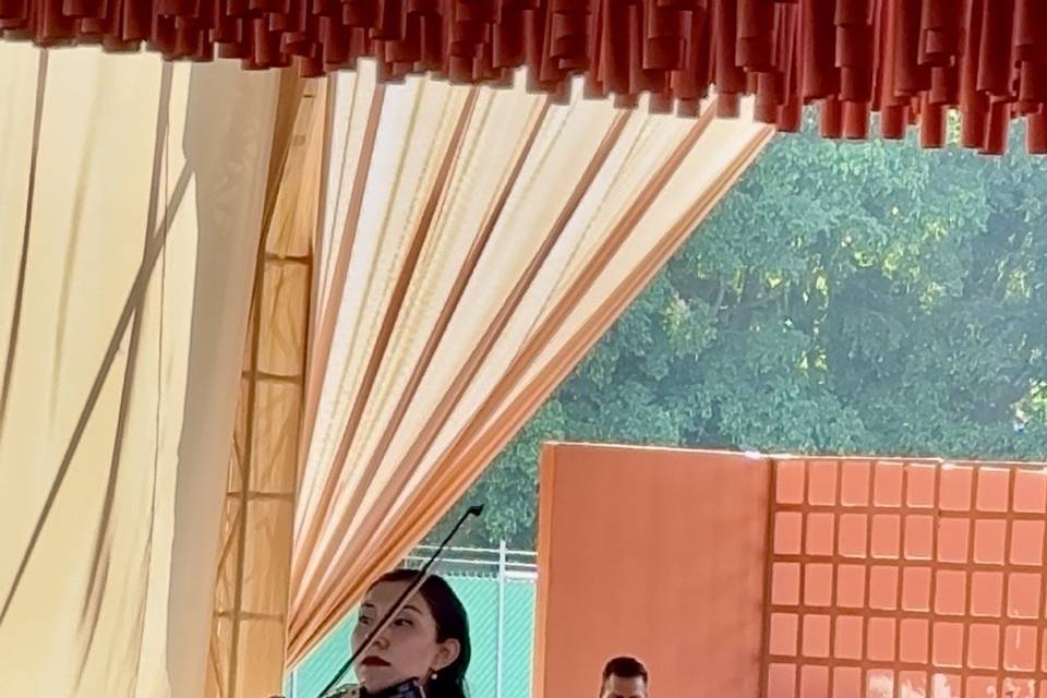 Solist on Point - Violín