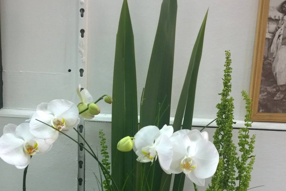 Arreglo orquidea morada
