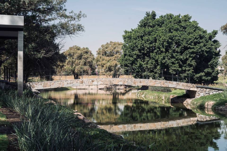 Vistas al lago