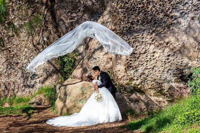 Trash the dress