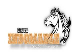Grupo Indomable De Aldama Tamaulipas logo