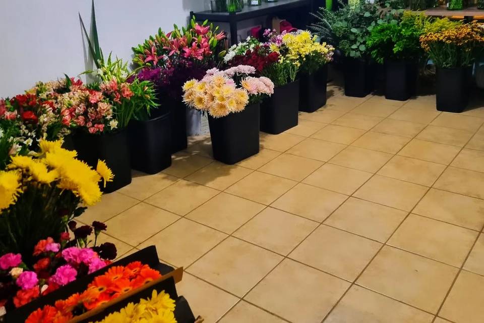 Variedad de flores